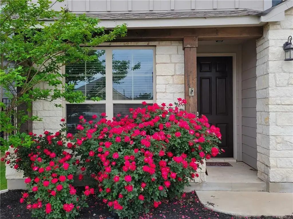 113 Fallow Cove, Georgetown