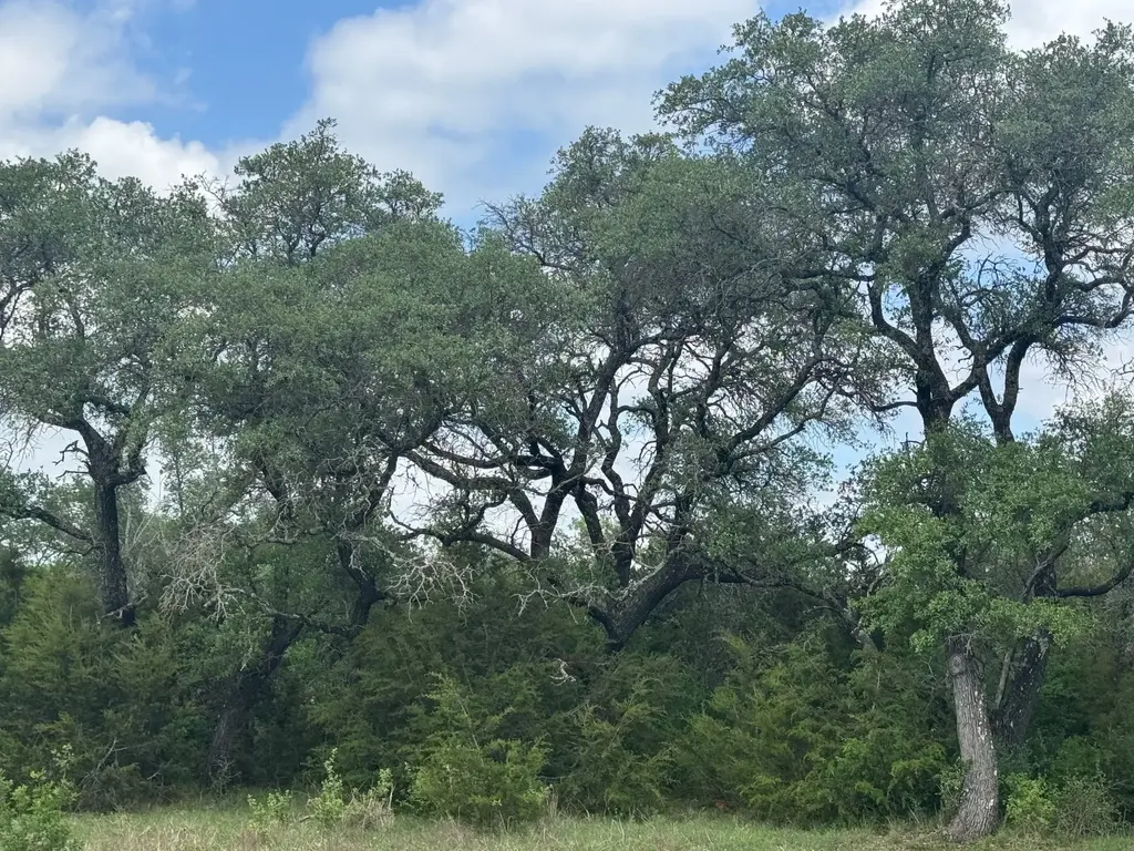 Lot 40 Maverick Way, Briggs