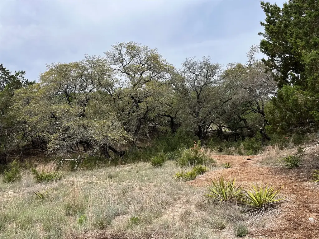 20715 Harrison Cove, Lago Vista