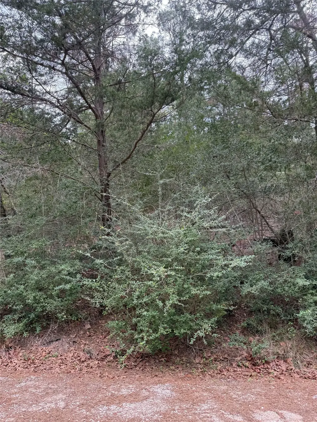 Lot 1428 Keeau Court, Bastrop