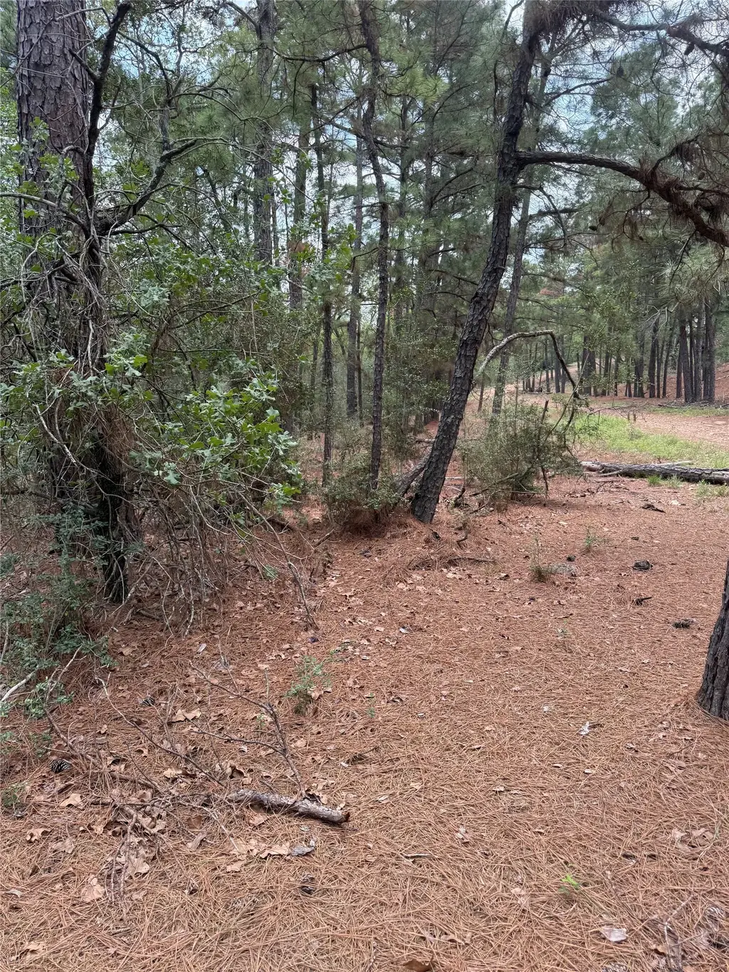 Lot 35 Tanglewood Drive, Bastrop