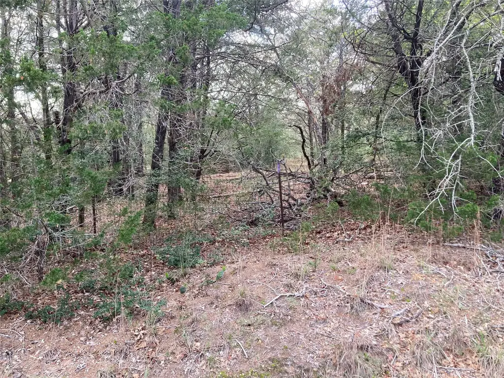 314 Green Oaks Drive Lot 14-b, Bastrop