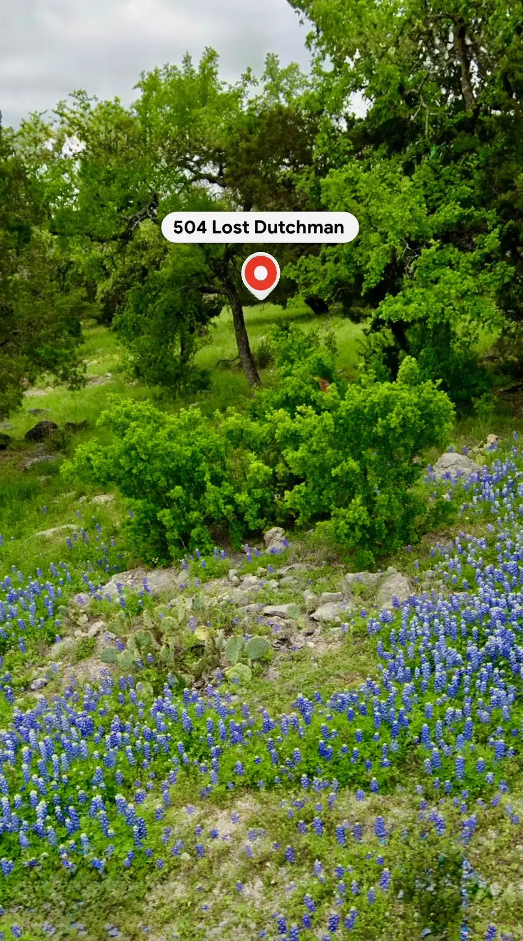 504 Lost Dutchman, Horseshoe Bay