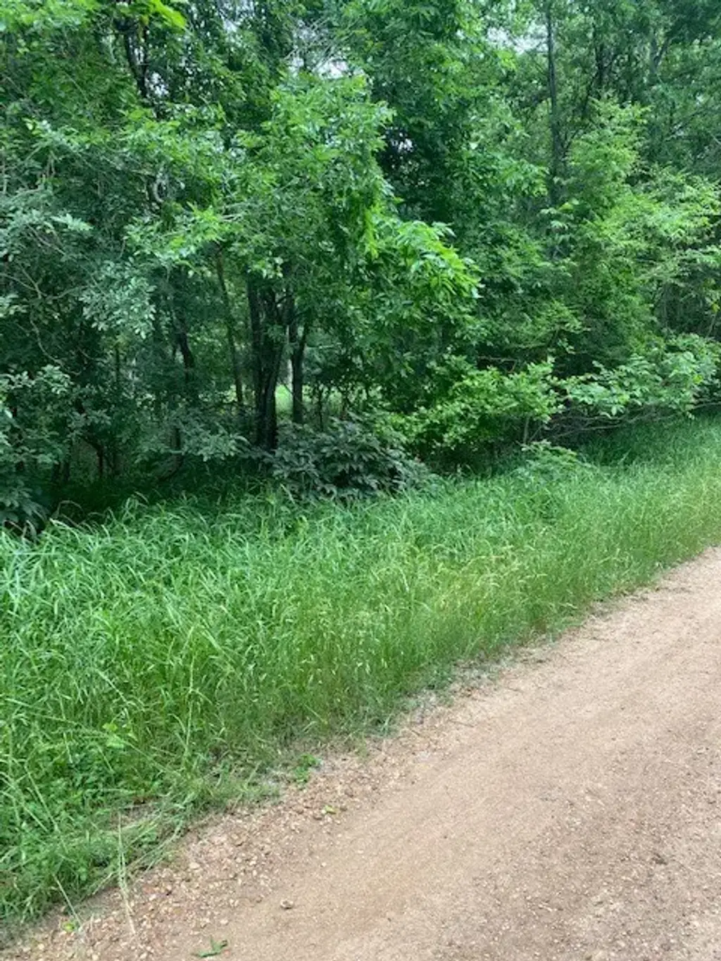 Lot 812 Kaukonahua Lane, Bastrop