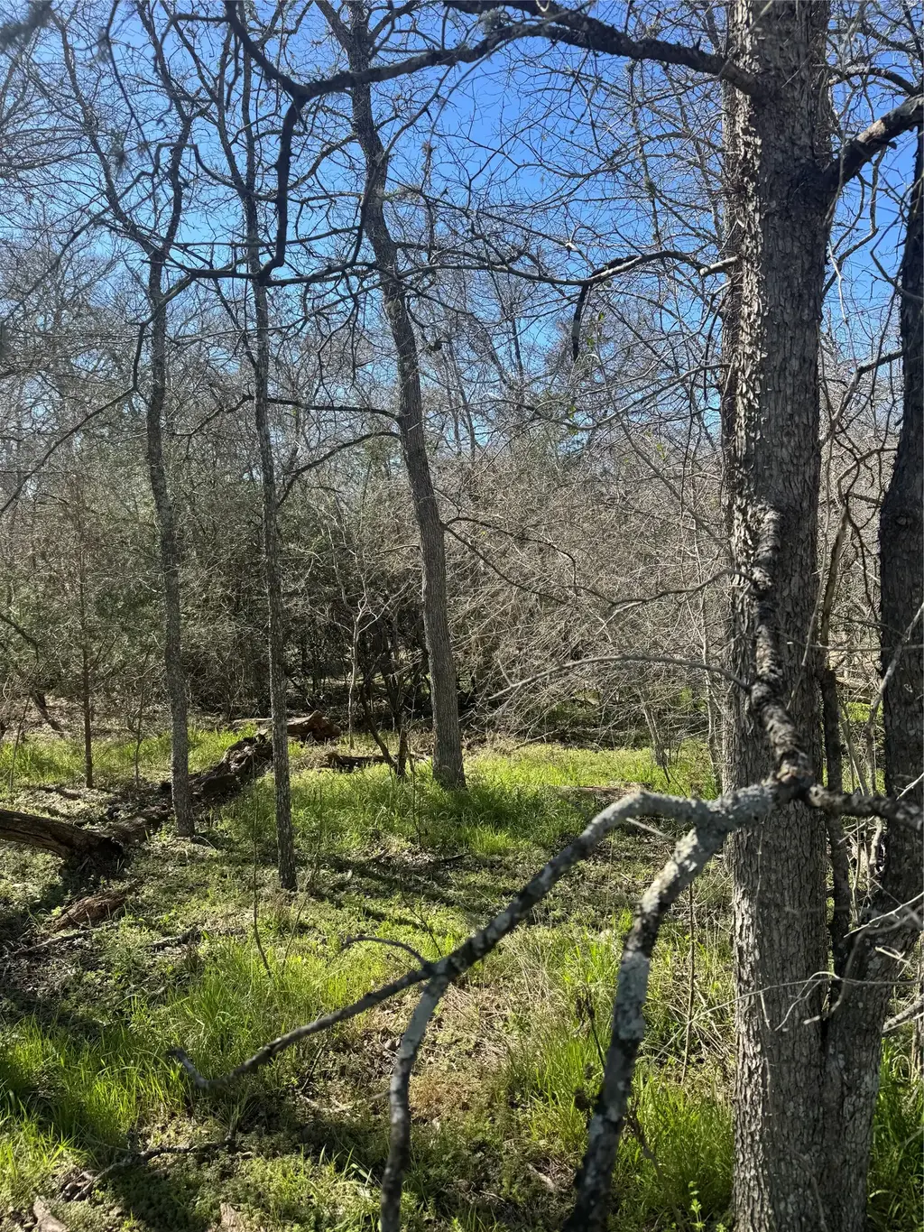 289 Iva Lane, Bastrop