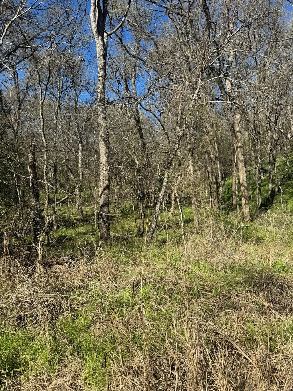 Lots 638. 639. 640 Kaukonahua Lane, Bastrop