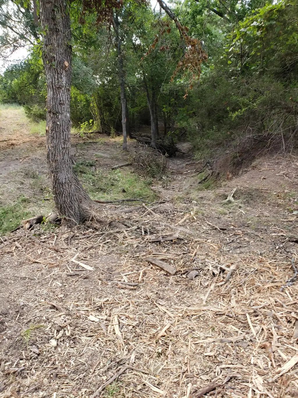 Lot 44 County Road 3640, Lampasas