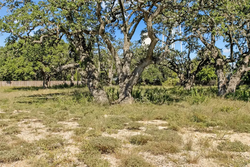 1410 Greenlawn Parkway, Blanco
