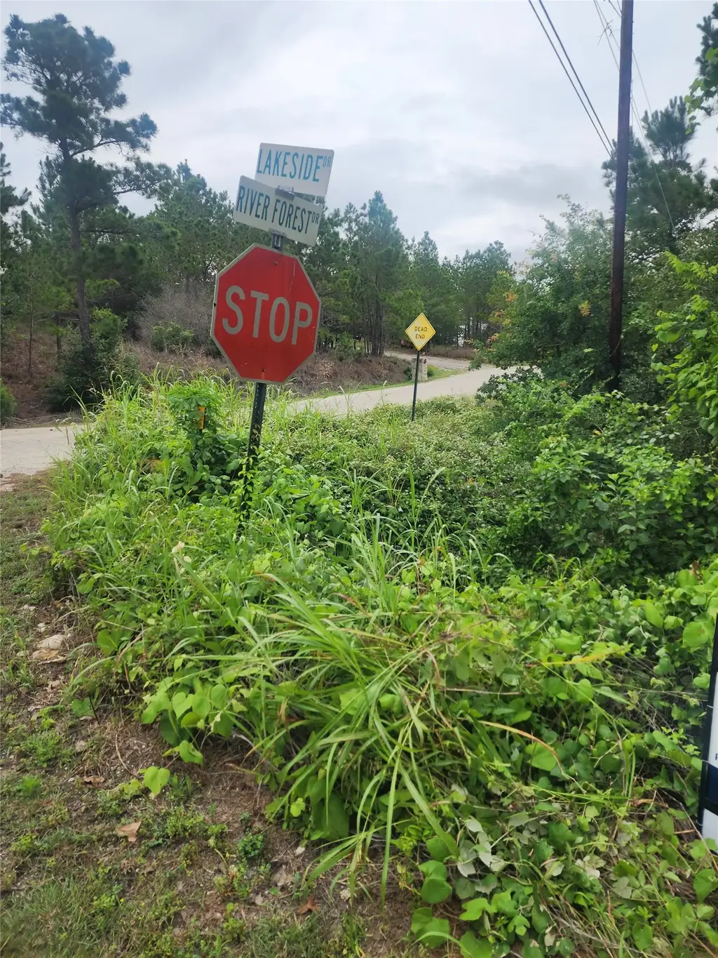 Lot 70 Lakeside Drive, Bastrop