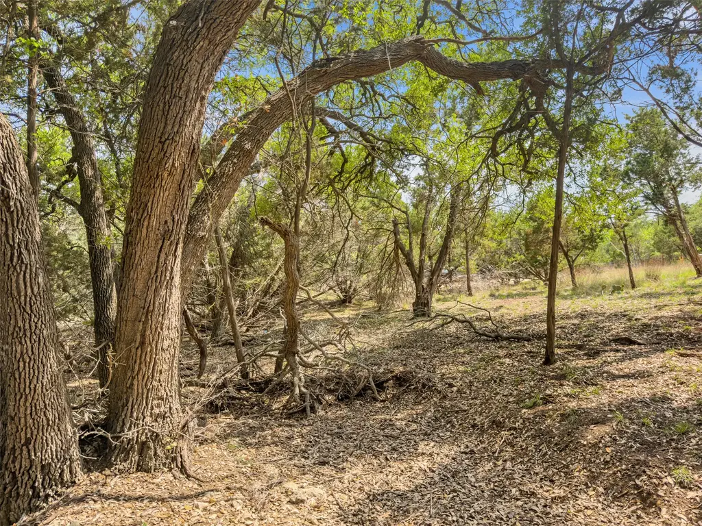 369 Onion Creek Lane, Blanco