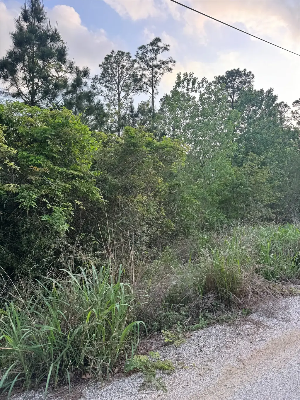 Lot 1386 N Pahihi Drive, Bastrop