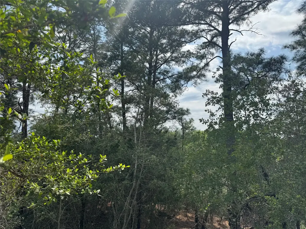 Lots 1263, 1264, 1265 Hanauma Drive, Bastrop
