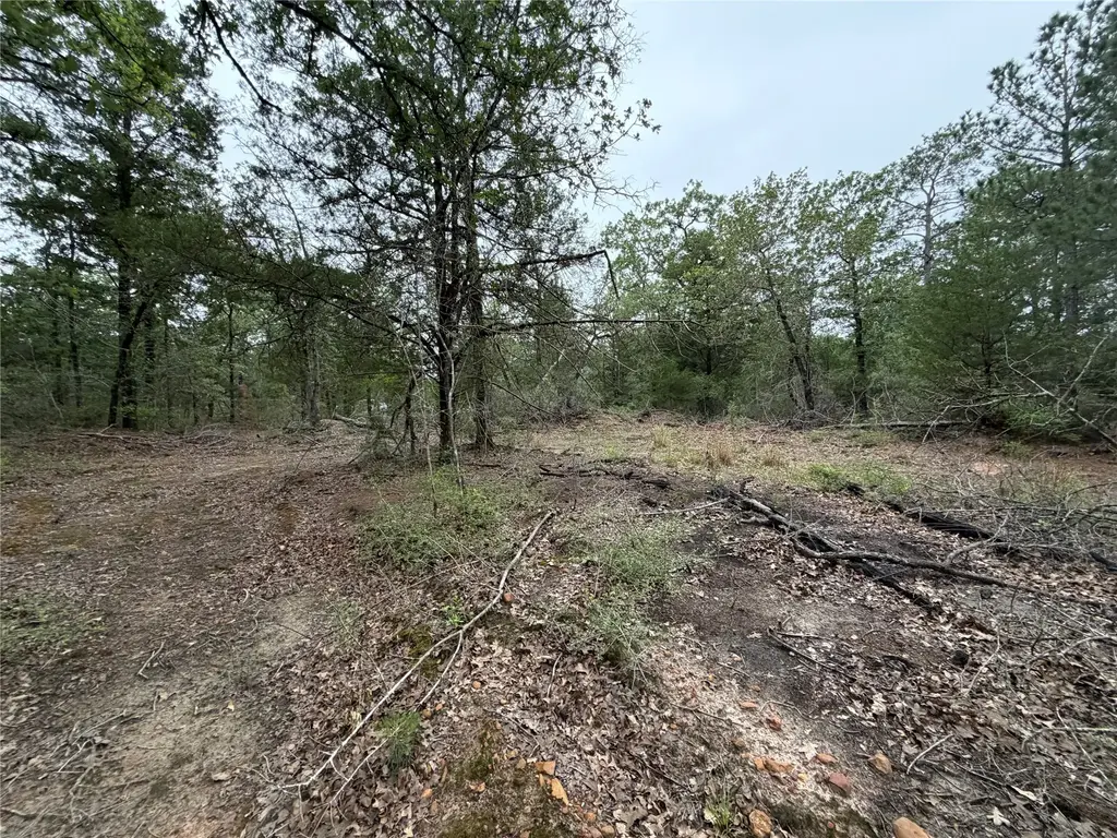 Lot 17 Old Antioch Road, Smithville