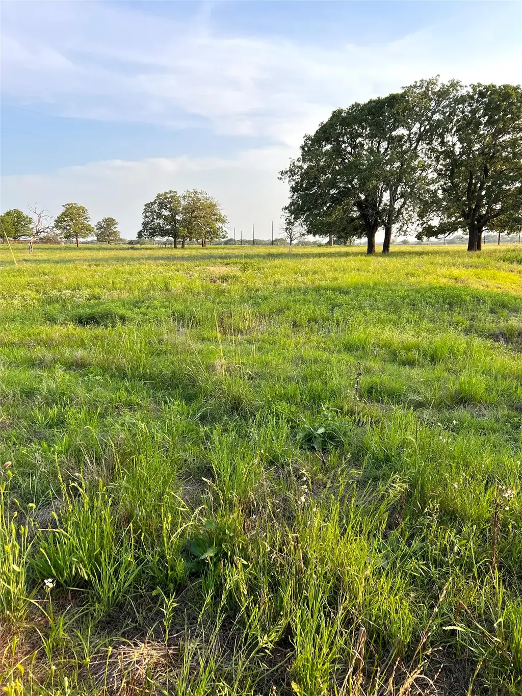 Tbd Lot 9 Cardinal Road, Rosanky