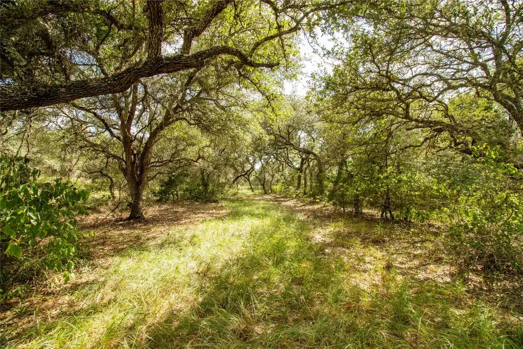 County Road 15, Hallettsville