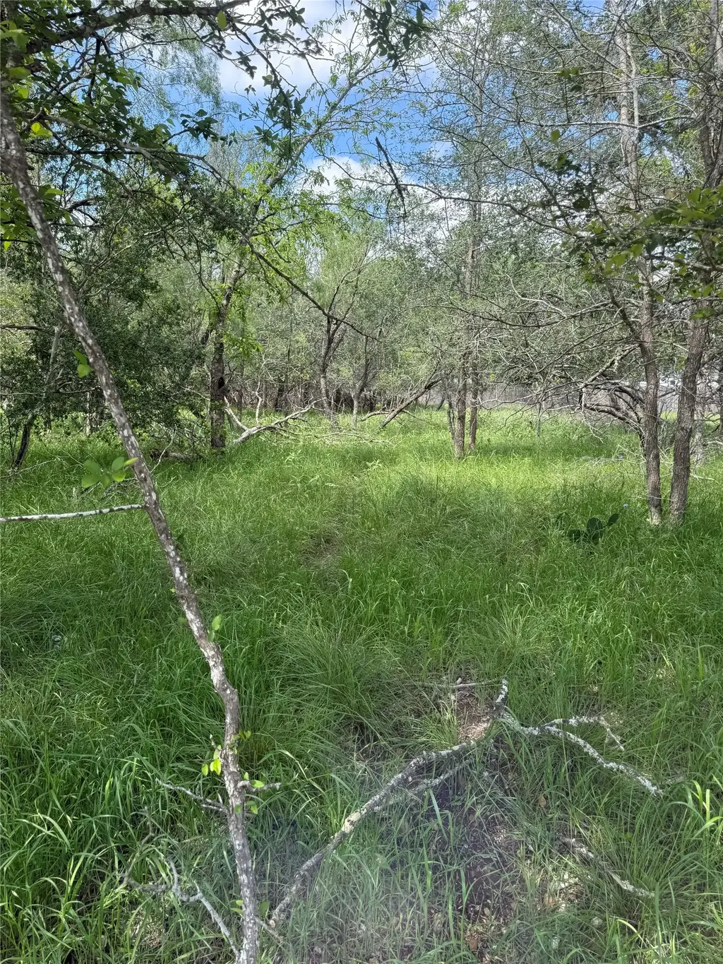 Lot 200 Nene Lane, Bastrop