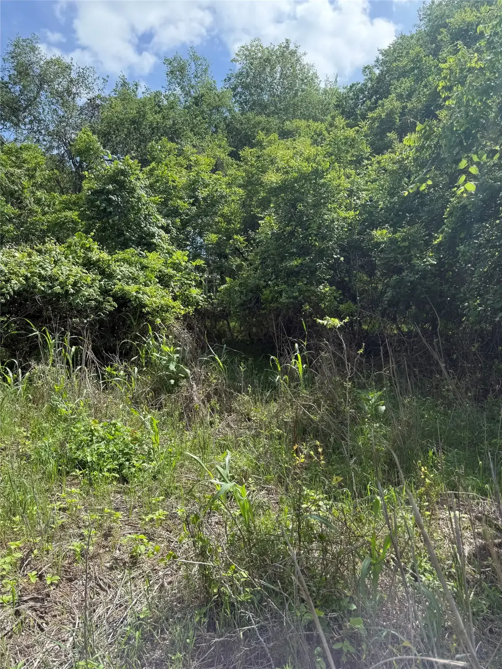 Lot 959 Riverside Drive, Bastrop