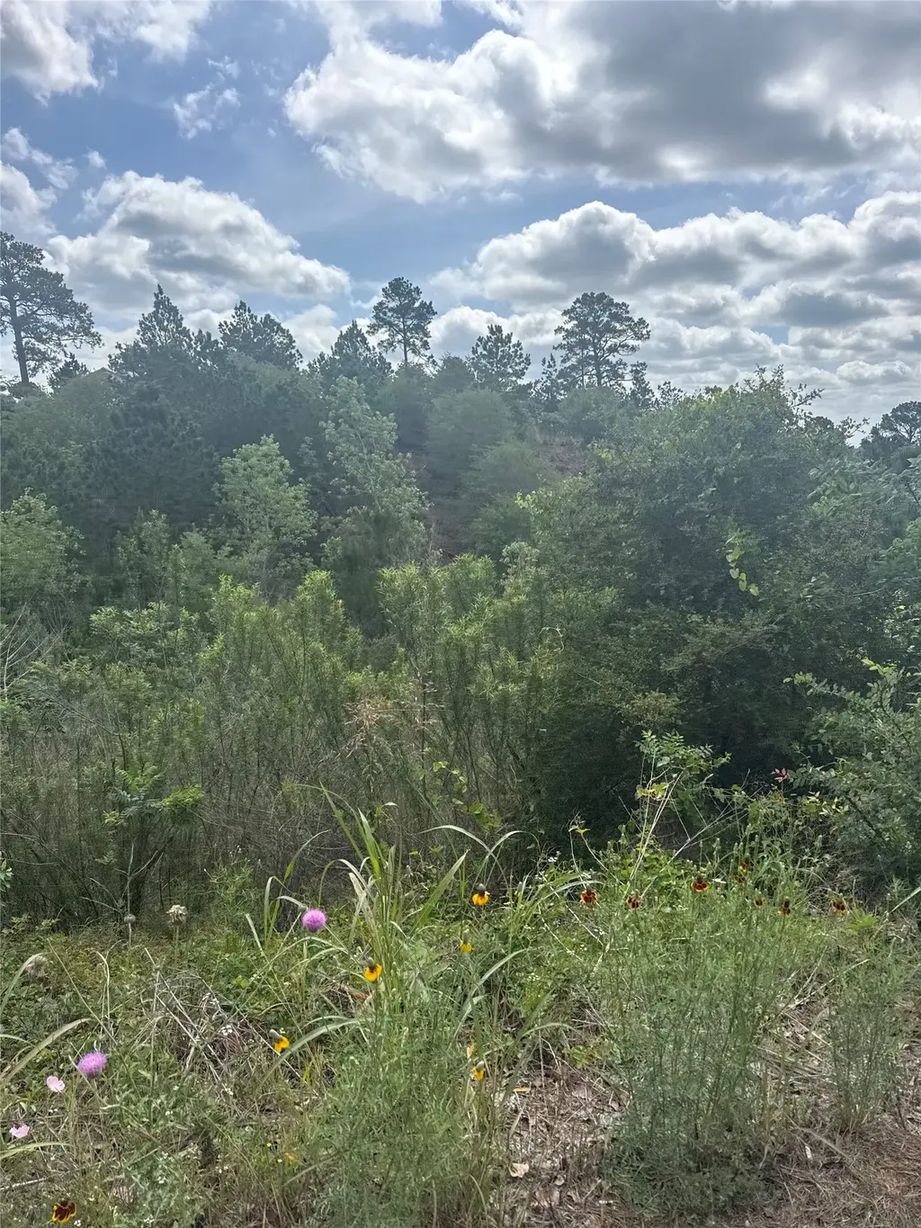 Lot 798 Tahitian Drive, Bastrop