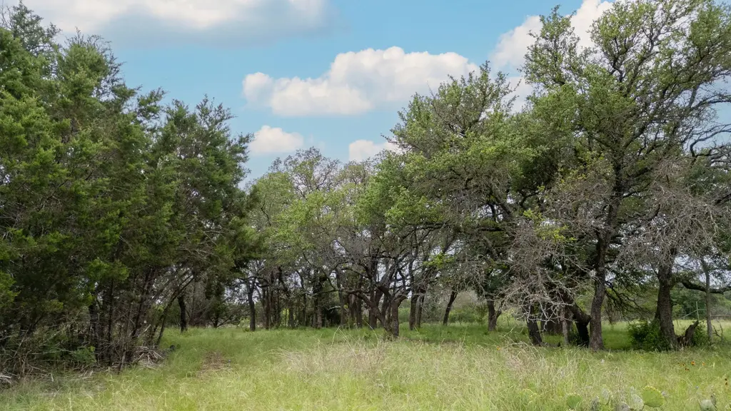Private Road 1377, Lampasas