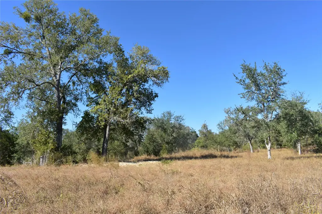 Tbd Cr 481, Gonzales