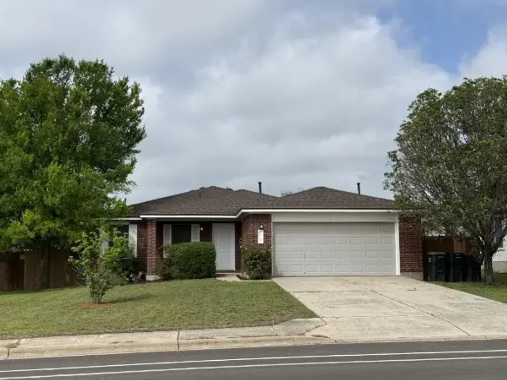 213 Spring Branch Drive, Kyle