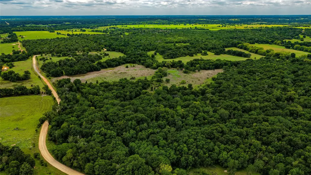 Cr 413, Lexington
