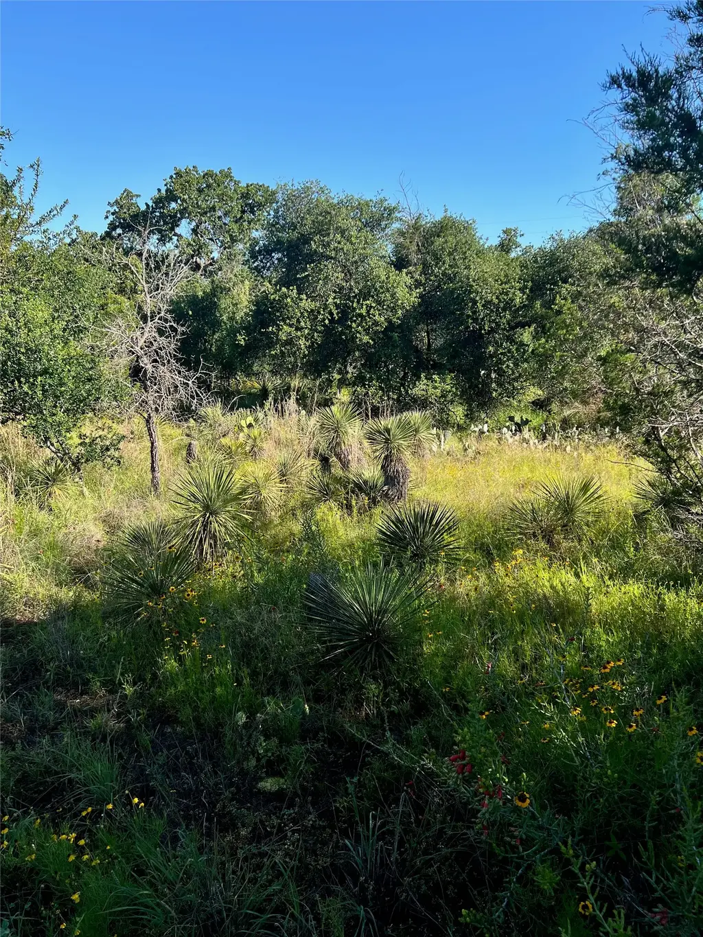 Tbd Castlelake Drive, Granite Shoals