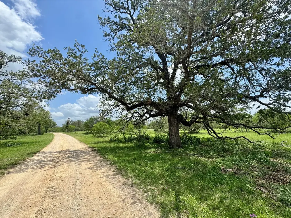 Batey Road, Nixon