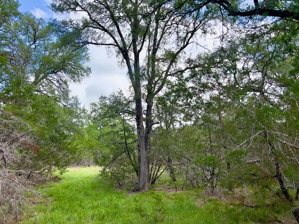 Lot 43-a Narrows Road 1, Blanco