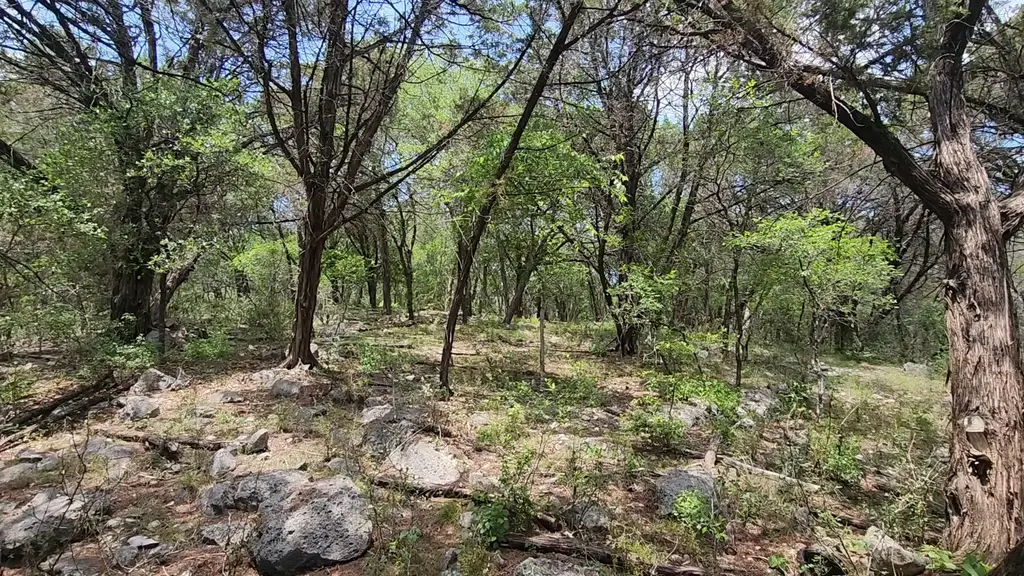 410 Owl Hollow Road, San Marcos