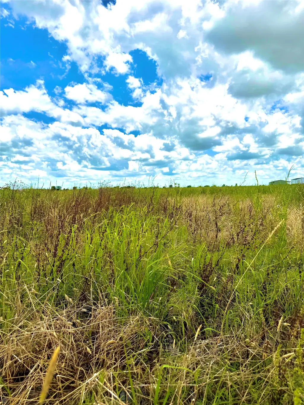Tbd Tract 4 Beal Road, Eagle Lake