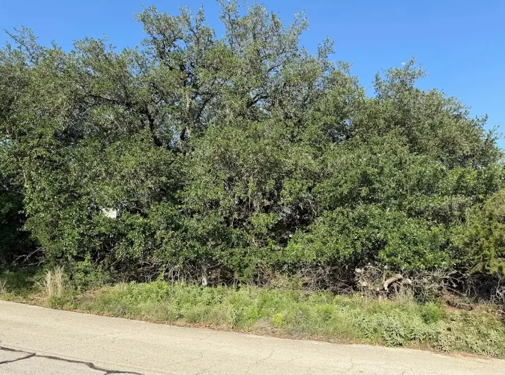 4209 Rockwood Drive, Lago Vista
