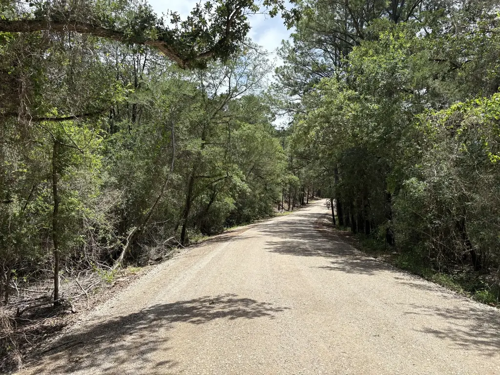 Lot 1228 & 1229 Hanauma Drive, Bastrop