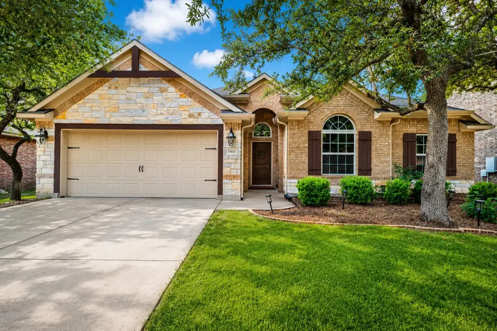 1503 Terrace View Drive, Cedar Park