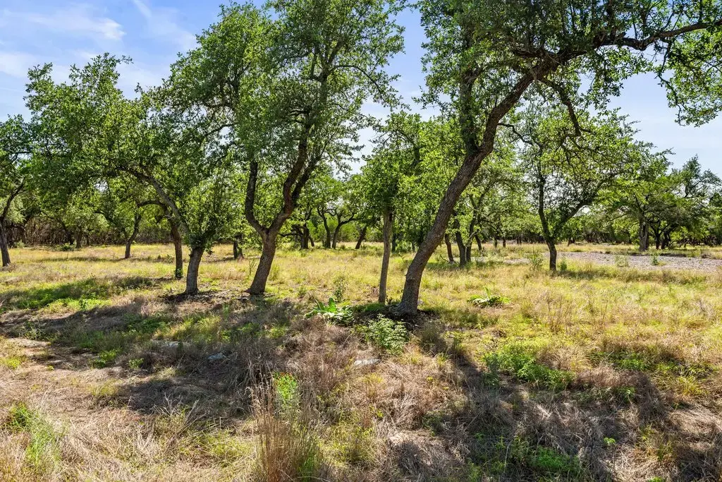300 Stonegate Lane, Dripping Springs