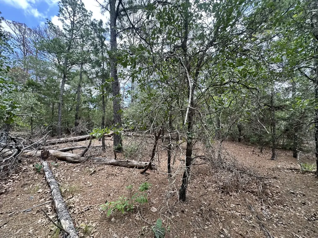 217 Helemano Drive, Bastrop