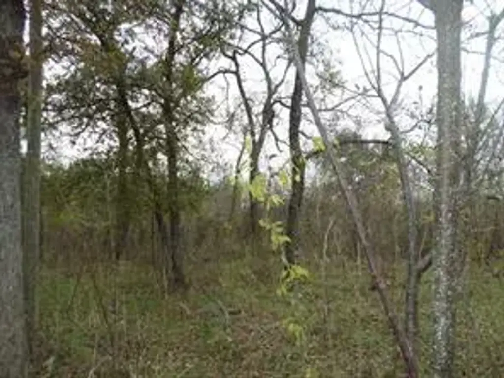 394 Fm 112, Thrall