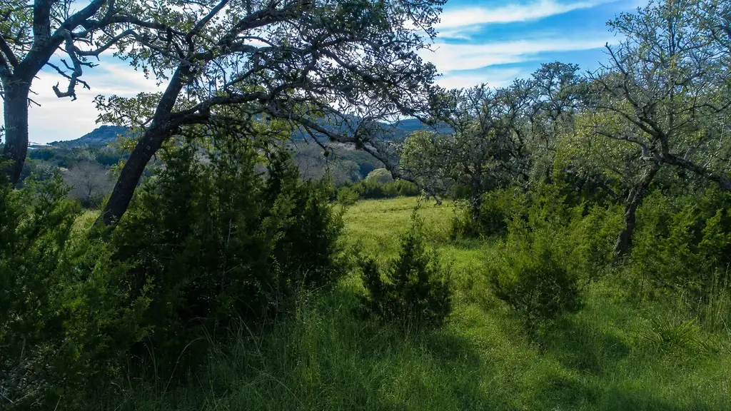717 Bluff Ridge Trail, Blanco