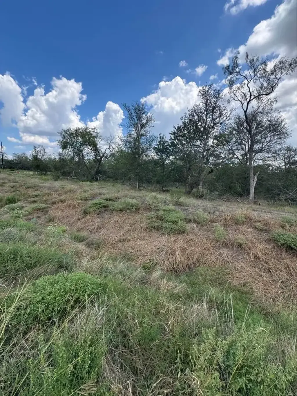 225 Brinley Mae Way, Lockhart