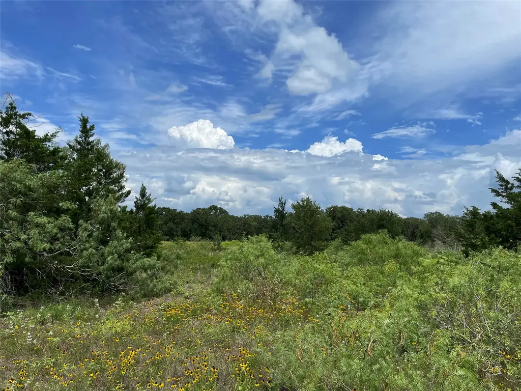 Tbd Fm 141, Giddings