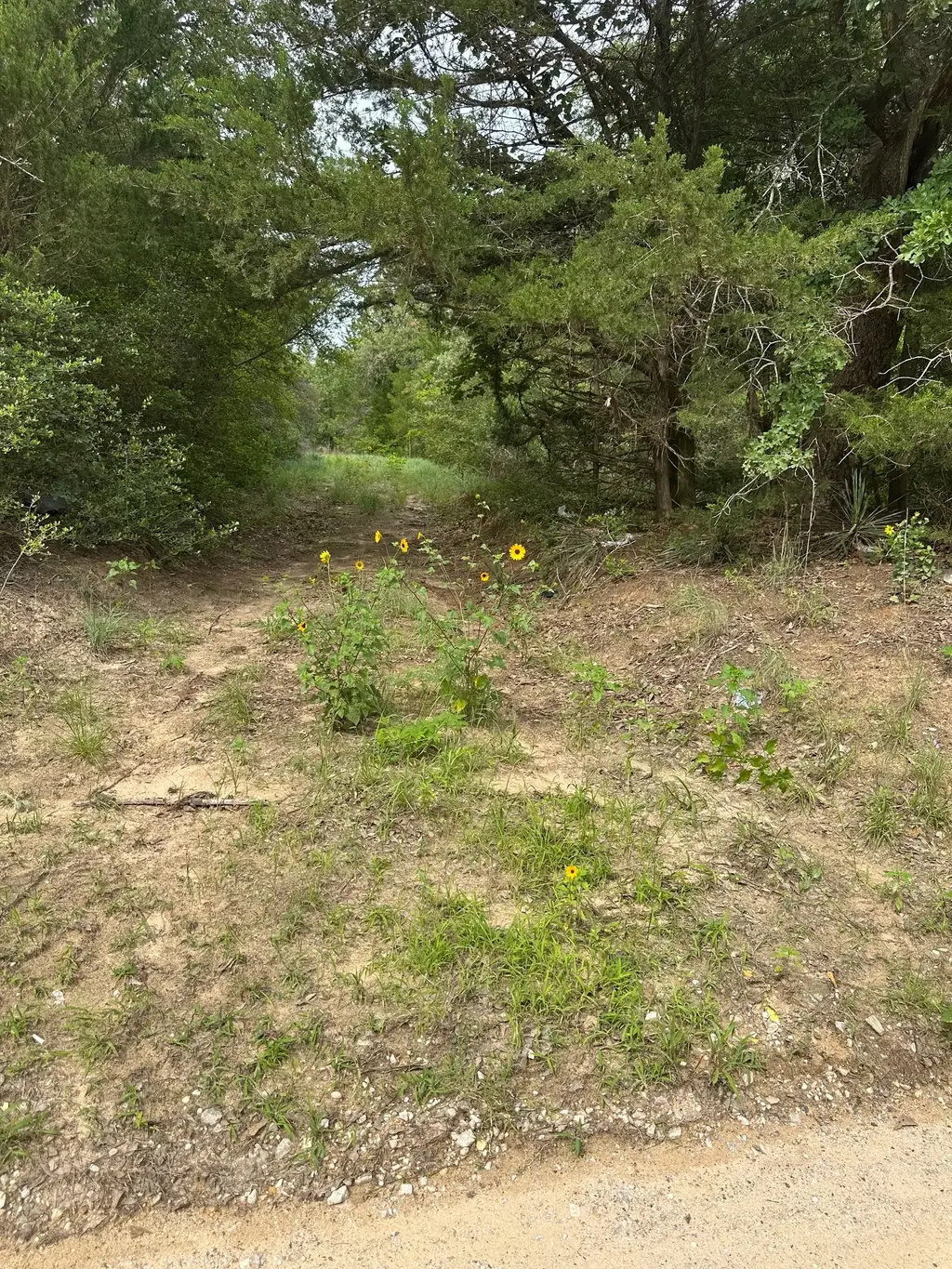 Lot 58-61 Pecan Drive, Caldwell