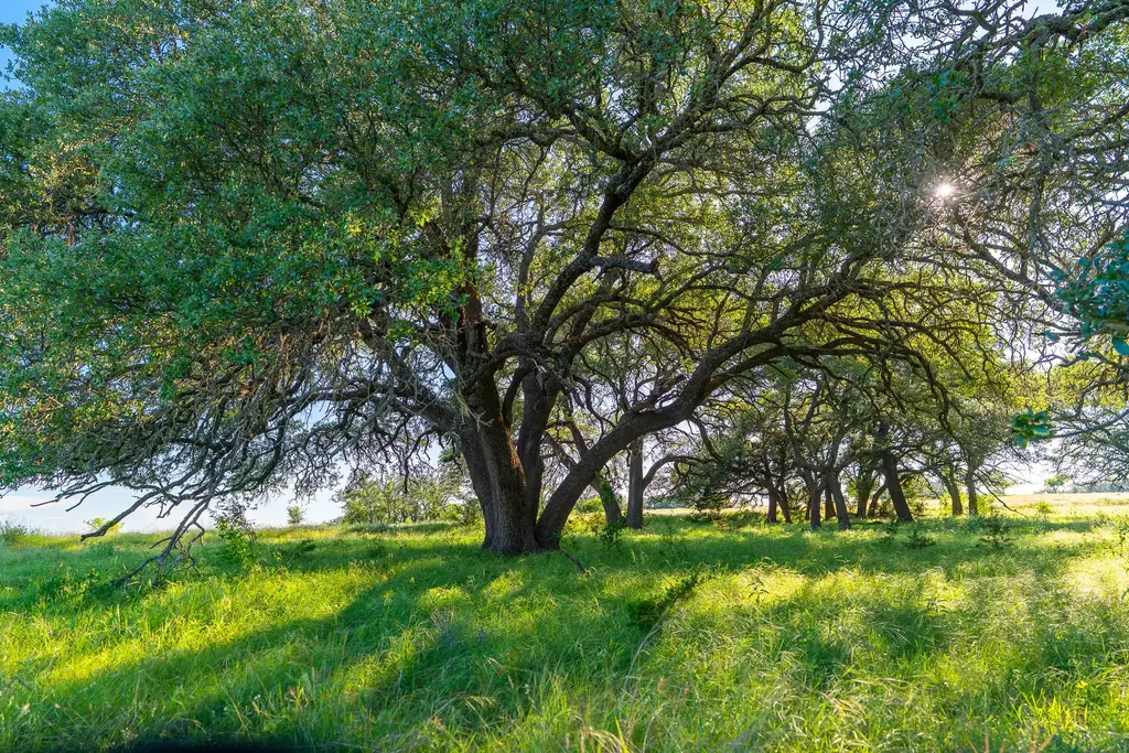 28 Feild Ranch Road, Burnet