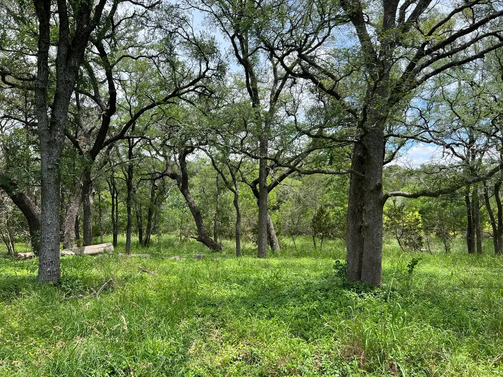 Tbd Lot Pt 19 Narrows Road, Blanco