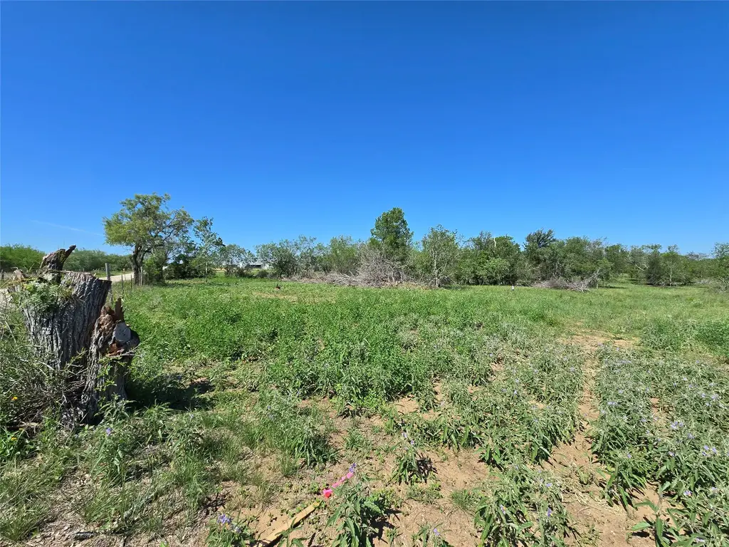 Tbd Fm 466, Seguin