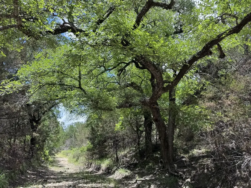 312 Oak Stump Drive, Goldthwaite