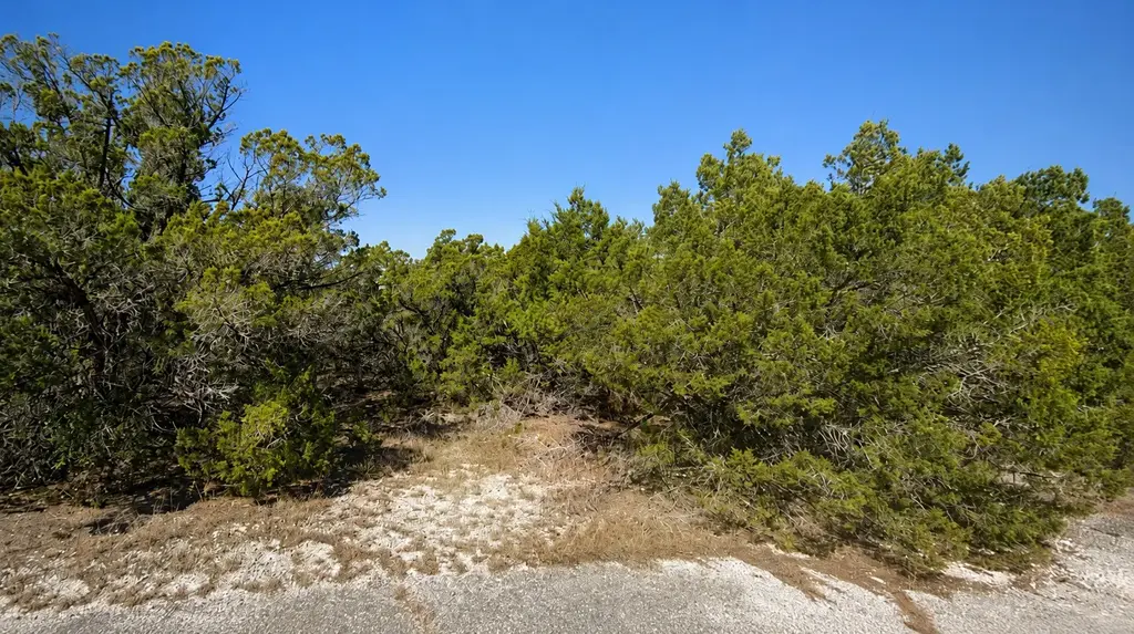 8404 Angus Trail, Leander