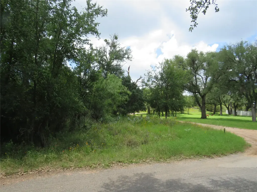 Lot 163 Buena Vista Drive, Burnet