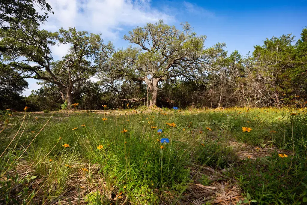 Tbd Gatlin Creek Road, Dripping Springs