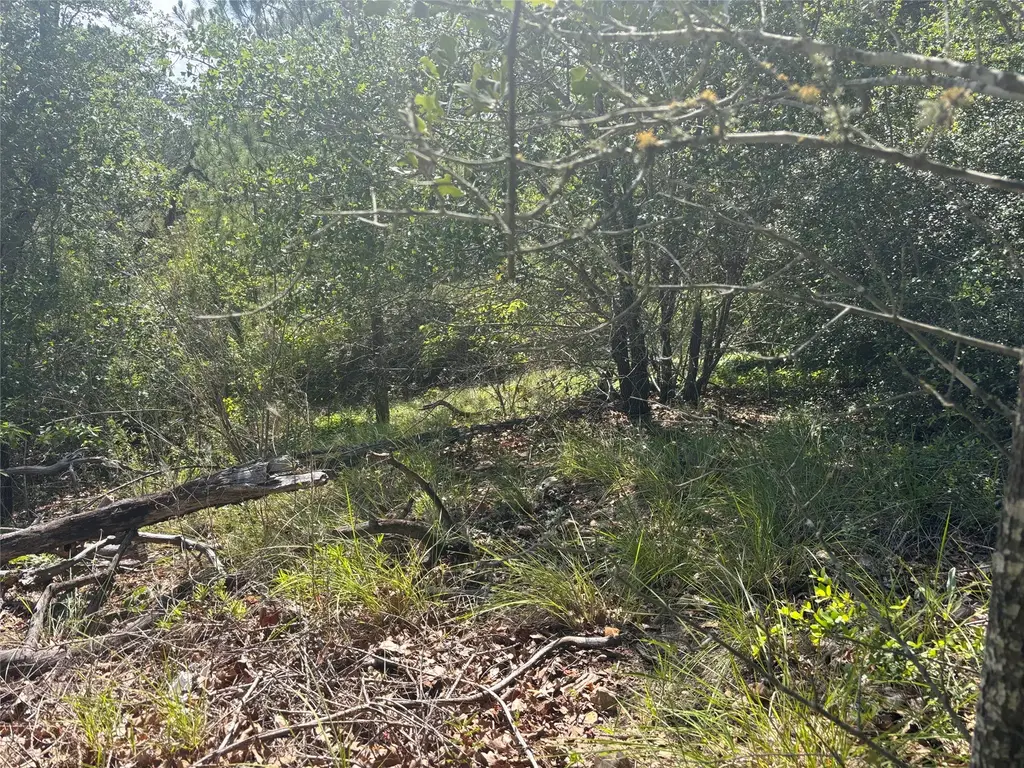 Lot 1541 Pahoiki Lane, Bastrop