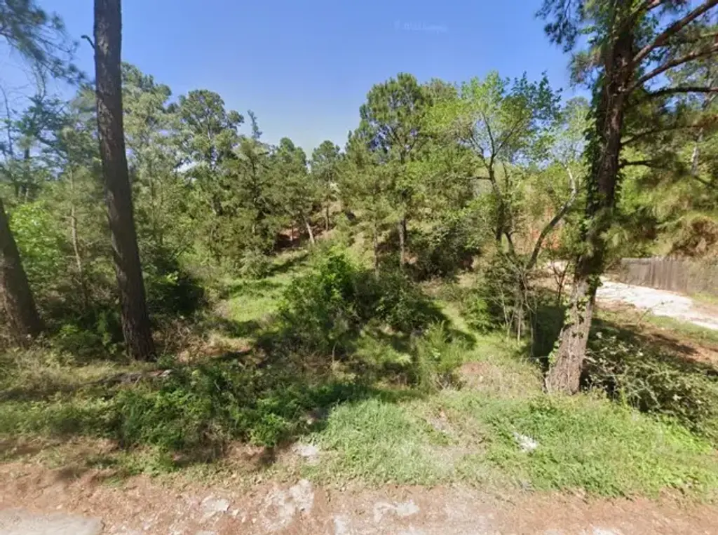 Wahane Lane, Bastrop